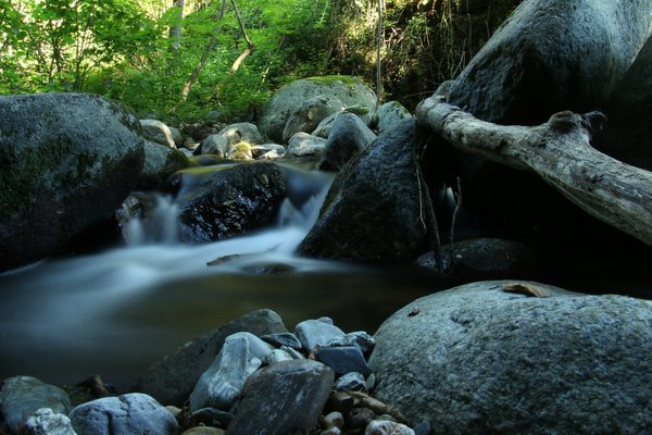 Quels sont les meilleurs conseils pour une randonnée dans le parc national des Cévennes, France?